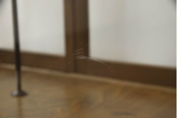 和製アンティーク　4枚引き戸が特徴的な脚付きガラスケース(ショーケース、飾り棚、陳列棚、店舗什器)(R-063235)