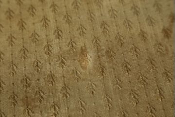 イギリスアンティーク　マホガニー材　細身の脚が上品な雰囲気を醸し出すキャビネット(飾り棚、収納棚、戸棚、ガラスケース、ショーケース)(R-063334)