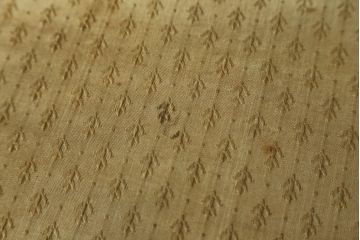 イギリスアンティーク　マホガニー材　細身の脚が上品な雰囲気を醸し出すキャビネット(飾り棚、収納棚、戸棚、ガラスケース、ショーケース)(R-063334)