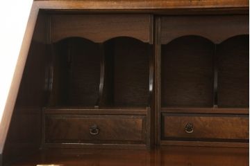イギリスアンティーク　希少サイズ　ウォールナット材　幅狭サイズが取り入れやすいビューローブックケース(本箱、収納棚、戸棚、引き出し、キャビネット、ライティングビューロー、ワークデスク、在宅ワーク、在宅用)(R-063532)
