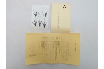 十三代　中里太郎右衛門　唐津焼　叩き唐津絵粉引　辰砂　笹文　徳利(共箱付き、とっくり、酒器、和食器)(R-063903)