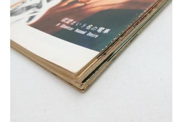 ピクニック　春風と百万紙幣　老人と海　帰らざる河　黄金の腕　雨に唄えばなど　パンフレット26冊(映画パンフ)(R-063910)