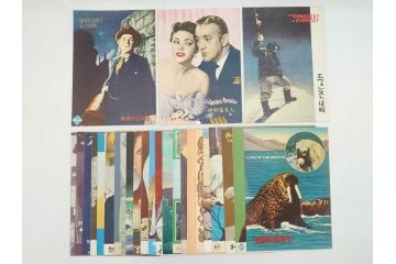 北極ものがたり　心の旅路　ホフマン物語　夜明け　ヨーロッパの何処かでなど　パンフレット26冊(映画パンフ)(R-063915)