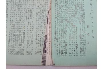 大いなる希望　空中ブランコ　ストロンボリ　パンと恋と夢　懐かしの日々　最後の楽園など　パンフレット25冊(映画パンフ)(R-063918)