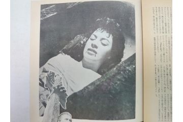 吸血鬼ドラキュラ　映画パンフレット1冊(パンフ)(R-063919)