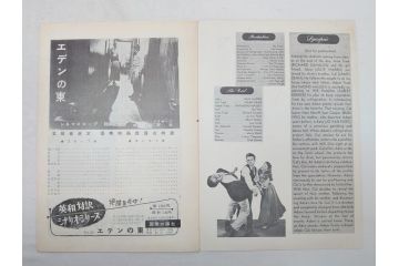 「暗くなるまで待って」　「麗しのサブリナ」　「ローマの休日」　「エデンの東」　オードリー・ヘップバーン　映画パンフレット5冊(パンフ)(R-063921)