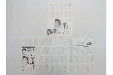 青春の海　チャップリンの独裁者　パラマウント　シェーン　遠い太鼓　偽将軍など　パンフレット25冊(映画パンフ)(R-063923)