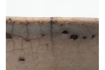 時代物　柿角印　作家物　高麗　玉子手　和の雰囲気を高めてくれる茶碗(抹茶碗、茶道具、茶器、和食器、共箱付き)(R-063953)