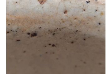 時代物　柿角印　作家物　高麗　玉子手　和の雰囲気を高めてくれる茶碗(抹茶碗、茶道具、茶器、和食器、共箱付き)(R-063953)
