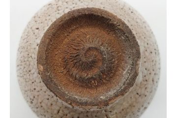 時代物　柿角印　作家物　高麗　玉子手　和の雰囲気を高めてくれる茶碗(抹茶碗、茶道具、茶器、和食器、共箱付き)(R-063953)