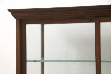 イギリスアンティーク　Lloyd’s Antiques(ロイズ・アンティークス)取り扱い　マホガニー材　お洒落なディスプレイが叶うガラスケース(ショーケース、陳列棚、飾り棚、店舗什器)(R-063970)