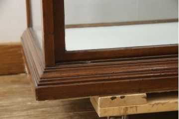 イギリスアンティーク　Lloyd’s Antiques(ロイズ・アンティークス)取り扱い　マホガニー材　お洒落なディスプレイが叶うガラスケース(ショーケース、陳列棚、飾り棚、店舗什器)(R-063970)