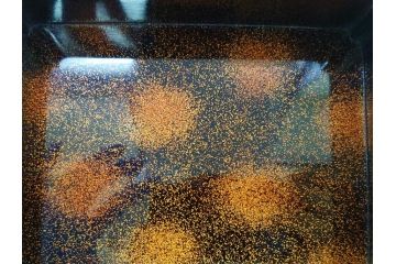 江戸〜明治　豪華! 大名物　金蒔絵　高盛蒔絵　黒漆塗り　梨地　銀松の実　上品な雰囲気と煌びやかなデザインが素敵な花見重(水筒、皿、器、野弁当箱、四段重箱)(R-064003)