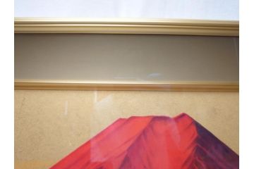 福王寺法林　文化勲章　赤富士　P10号サイズ程度　絵画(共箱付き、共シール、朝富士、額装)(R-064005)