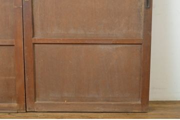 アンティーク建具　どこか懐かしい雰囲気漂う引き戸2枚セット(ガラス戸、板戸)(R-064115)