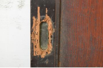 アンティーク建具　漆塗り　杉材一枚板　杢目の良い板戸2枚セット(帯戸、引き戸)(R-064123)