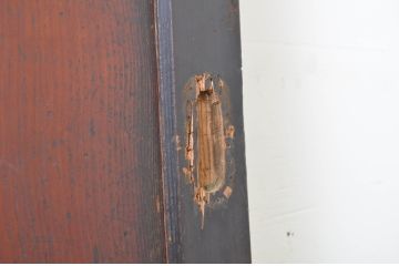 アンティーク建具　漆塗り　杉材一枚板　杢目の良い板戸2枚セット(帯戸、引き戸)(R-064123)