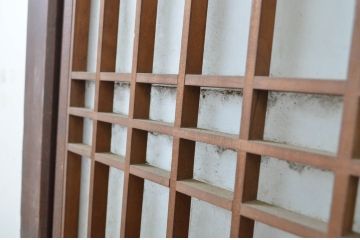 アンティーク建具　上品な和の雰囲気漂う格子ガラス入りの帯戸1枚(引き戸、板戸、ガラス帯戸)(R-064298)