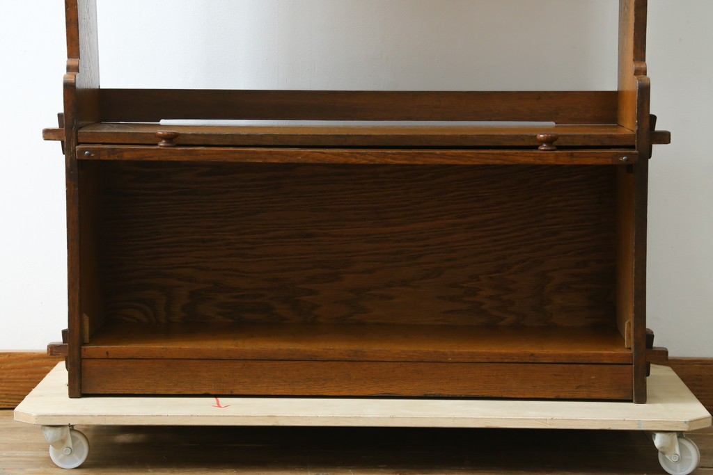 和製アンティーク　栓材　くっきりとした杢目が目を惹く珍しいデザインの扉付きクサビ本棚　(R-064671)