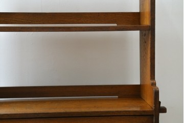 和製アンティーク　栓材　くっきりとした杢目が目を惹く珍しいデザインの扉付きクサビ本棚　(R-064671)