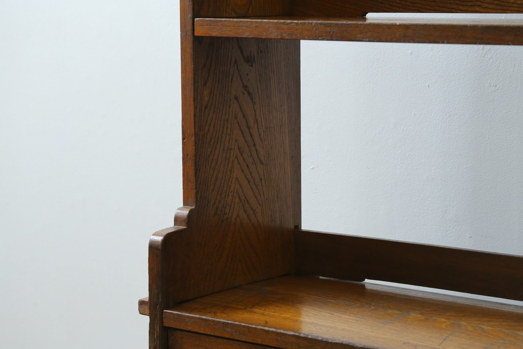 和製アンティーク　栓材　くっきりとした杢目が目を惹く珍しいデザインの扉付きクサビ本棚　(R-064671)