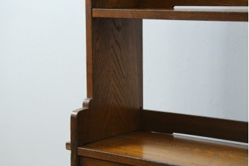 和製アンティーク　栓材　くっきりとした杢目が目を惹く珍しいデザインの扉付きクサビ本棚　(R-064671)