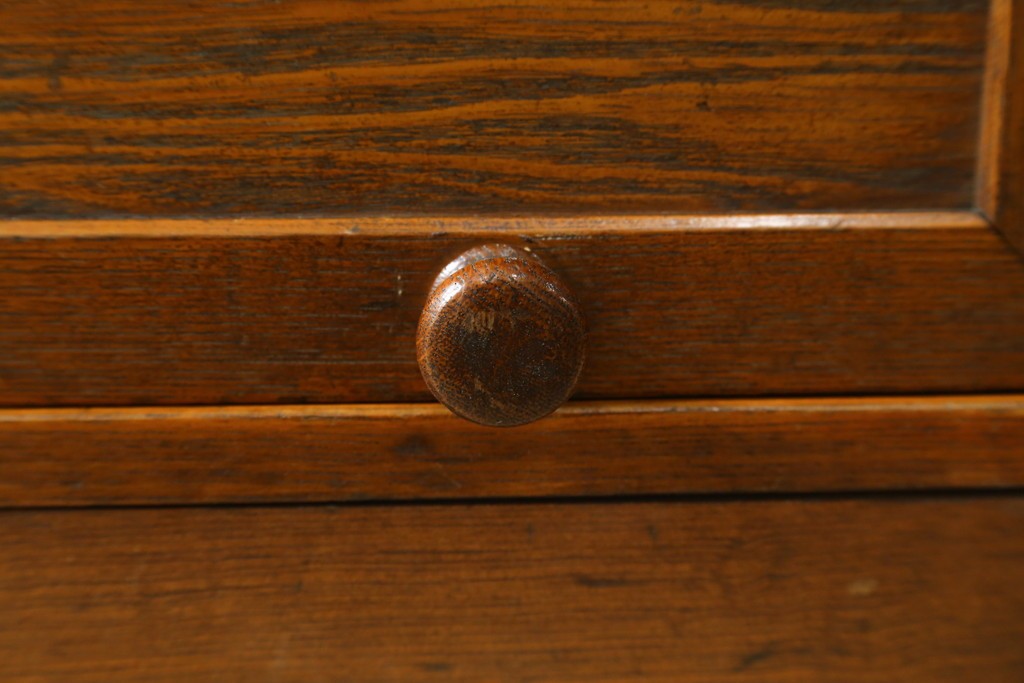 和製アンティーク　栓材　くっきりとした杢目が目を惹く珍しいデザインの扉付きクサビ本棚　(R-064671)