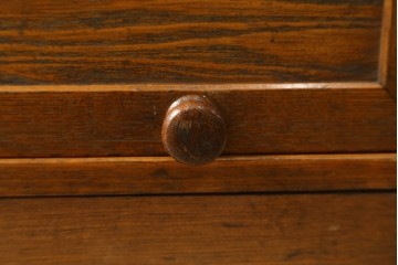 和製アンティーク　栓材　くっきりとした杢目が目を惹く珍しいデザインの扉付きクサビ本棚　(R-064671)