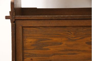 和製アンティーク　栓材　くっきりとした杢目が目を惹く珍しいデザインの扉付きクサビ本棚(ブックシェルフ、書棚、収納棚、オープンラック、飾り棚、楔、くさび)(R-064671)