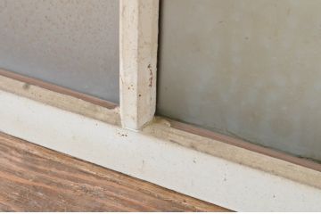  アンティーク建具　ペイント仕上げ限定　結霜ガラス入りのペンキの剥げた横長ガラス窓2枚セット(引き戸、ガラス戸)(R-065047)