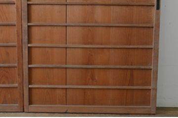 アンティーク建具　昭和初期　趣ある古い木味が魅力的な舞良戸2枚セット(まいらど、板戸、引き戸)(R-065253)