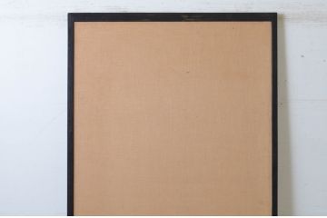 アンティーク建具　大正ロマン　古い洋館で使われていた和洋折衷の引き戸1枚(板戸)(R-065474)