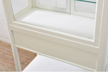 和製アンティーク　ホワイトカラーが爽やかな四面ガラスのケビントガラスケース(ショーケース、デンタルケース、デンタルキャビネット、陳列棚、飾り棚、収納棚、戸棚、店舗什器)(R-065799)