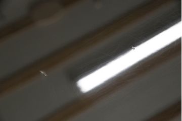 中古　漆塗り　わたげ　沈金の美しさが際立つ座卓(ローテーブル、センターテーブル)(R-065887)