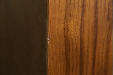 デンマークビンテージ　小振りなサイズが取り入れやすいチーク材製キャビネット(本棚、ブックシェルフ、飾り棚、収納棚、戸棚、ヴィンテージ、北欧)(R-065909)