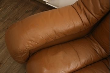 ヴィンテージ家具　デセデ(de Sede)　本革(レザー)　23連　お好みに合わせて自在にレイアウトできるスネークソファ(23ピース、ビンテージ、店舗什器)(R-066113)