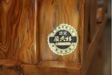 中古　美品　屋久杉の生命力溢れる美しさが魅力の飾り棚(オープンシェルフ、ディスプレイラック、花台)(定価約180万円)(R-066136)