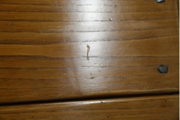 中古　IDC大塚家具　オランダ高級輸入家具　オーク材　木の温もり溢れる色合いが魅力のダイニングチェア2脚セット(椅子、イス、板座チェア、バラ売り可能)(定価2脚で約15万円)(R-066658)