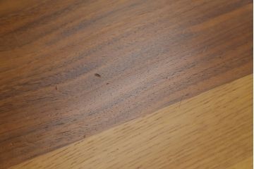 中古　日進木工(nissin)　WHITE WOOD(ホワイトウッド)　ナラ材とウォールナット材の組み合わせが美しいローテーブル(リビングテーブル、センターテーブル、座卓)(R-066814)