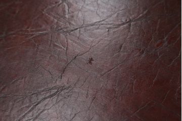 中古　神戸洋家具　メープル不二屋(MAPULE FUJIYA)　上品で洗練された佇まいが魅力の両袖デスク(両袖机、ニーホールデスク、ワークデスク、オフィスデスク、在宅用、在宅ワーク用)(定価約48万円)(R-066913)