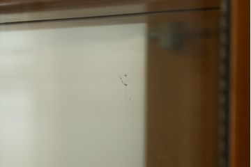 中古　高級イタリア家具　繊細で優美な彫刻入りのロココ調アンティーク風キャビネット(キュリオケース、ガラスケース、ショーケース、飾り棚、店舗什器)(定価約90万円)(R-066920)