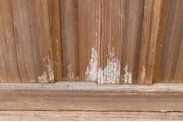 アンティーク建具　大正ロマン　懐かしい雰囲気を感じさせるガラス戸2枚セット(引き戸)(R-067298)