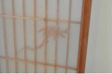 アンティーク建具　両面ガラス　鶴と亀の彫刻が目を惹く!上質な和の空間づくりにおすすめな書院戸2枚セット(窓、引き戸、ガラス戸)(R-067564)