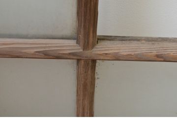 アンティーク建具　大正ロマンの雰囲気を醸し出すデザインが魅力的なガラス窓2枚セット(ガラス戸、引き戸)(R-067591)