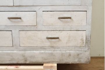 和製アンティーク　ペイント仕上げ限定　上品な佇まいが魅力的なケビントガラスケース(ショーケース、飾り棚、収納棚、戸棚、陳列棚、店舗什器、デンタルケース、デンタルキャビネット)(R-068062)