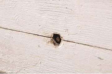 海外アンティーク　オーク材　目を惹く個性的なデザインのアイアンフェンス入りドア1枚(建具、木製扉)(R-068508)