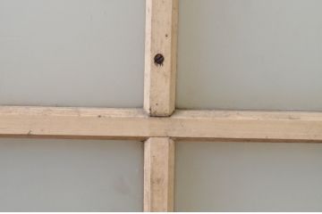 アンティーク建具　ペイント仕上げ限定　レトロな空間づくりにおすすめな古い学校の幅広ガラス戸1枚(引き戸)(R-068703)