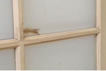 アンティーク建具　ペイント仕上げ限定　レトロな空間づくりにおすすめな古い学校のガラス戸2枚セット(引き戸)(R-068710)