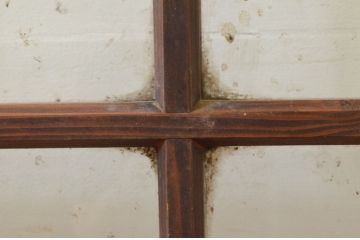 アンティーク建具　どこか懐かしい雰囲気が漂うマス目(升目)のガラス戸1枚(引き戸)(R-068729)