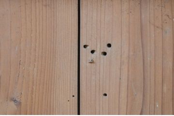 アンティーク建具　時代の流れを感じさせる木の味わいが魅力的な漆喰(しっくい)の蔵戸1枚(引き戸、玄関戸)(R-068736)